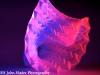 Origami__MG_7851.jpg