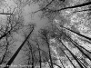 _mg_4198-version-2