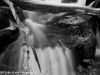 _mg_4254