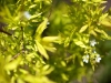 mg_3441-version-2