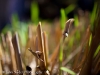 mg_3444-version-2