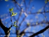 mg_3459-version-2