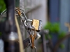mg_3487-version-2