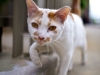 mg_3491-version-2