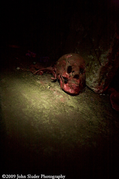 Skull on the floor Skull on the floor