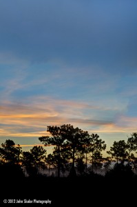 Sun Raise in the lorida swamps