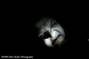 _mg_2354