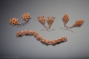 img_1986-version-2