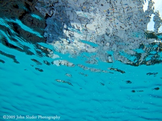 Dreaming under the water