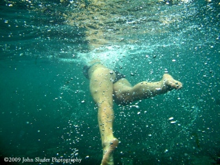 Under Water Photography