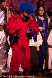 Aladdin Jr
