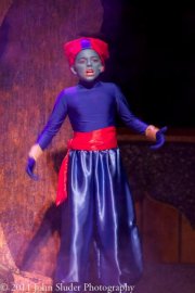 Aladdin Jr