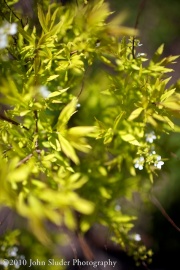 mg_3441-version-2