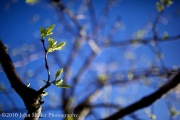 mg_3459-version-2