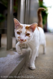 mg_3491-version-2